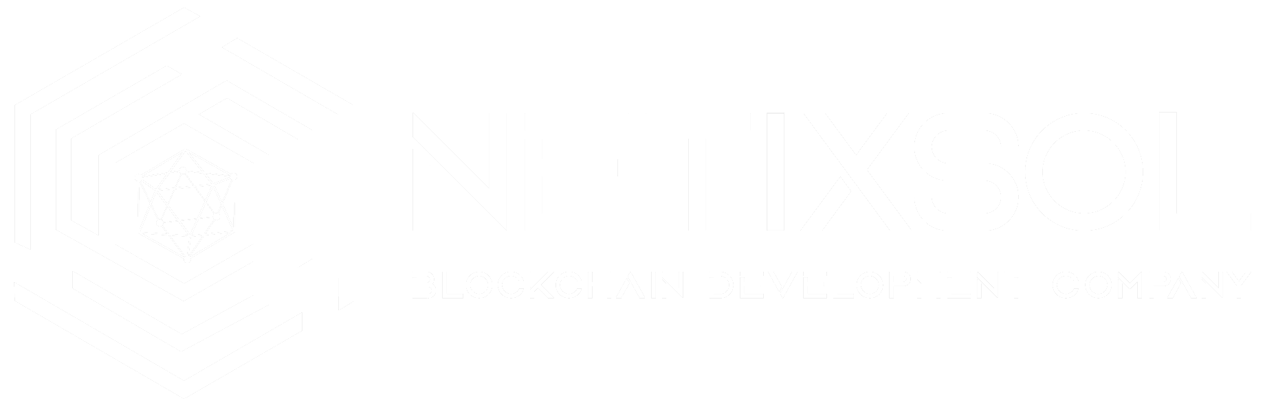NetixSol_footer